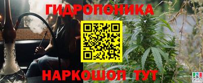 apvp Краснознаменск